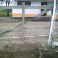 Santa Rita