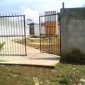 Toningo
