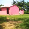 La Floreadora (la Bodega)