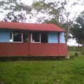 Domingo Arenas