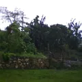El Arenal