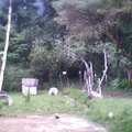 El Rincon de Papalocuautla
