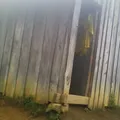 Loma Alta