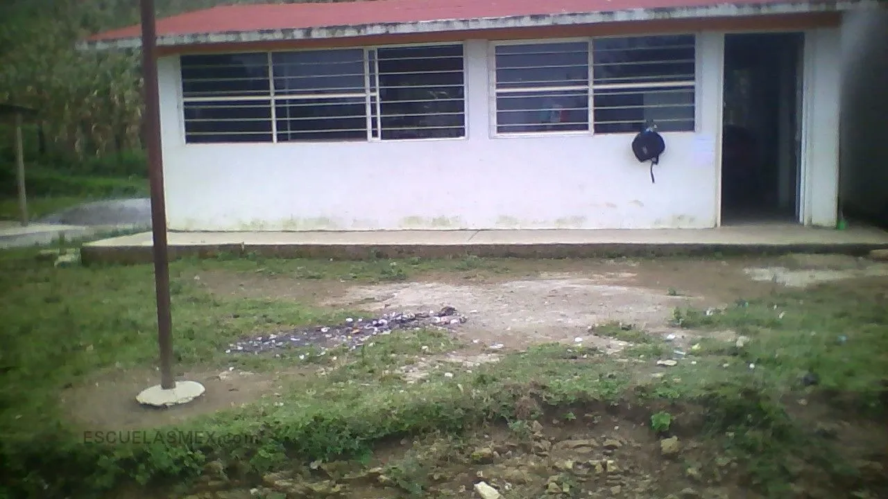 El Mirral Entrada