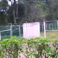 Kuapol