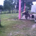 Palmar Alto