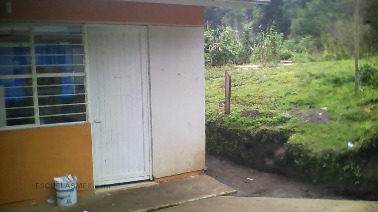 Colonia Nueva Rosita Entrada