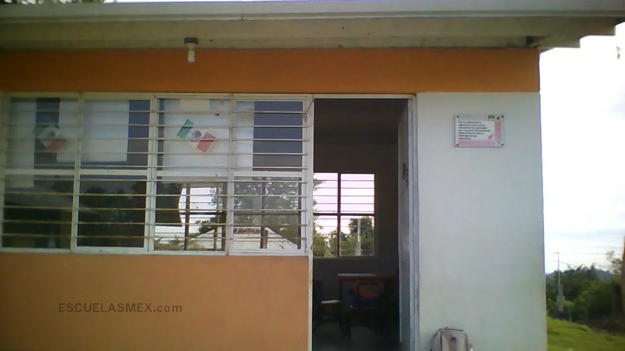 Tianguis Entrada