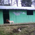 Colonia Jose Preza