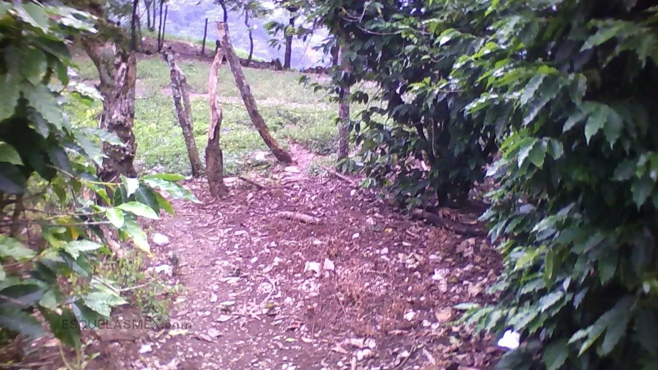 La Laguna Entrada