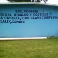La Camelia