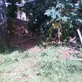 Loma del Mango