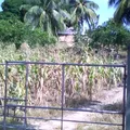 Rancho Nuevo de Morelos