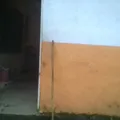 San Jose del Palmar
