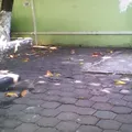 Cendinver
