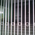 Instituto Rougier