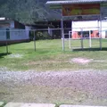 Instituto Patria