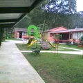 Colegio las Hayas