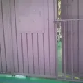 Bambi