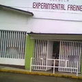 Experimental Freinet