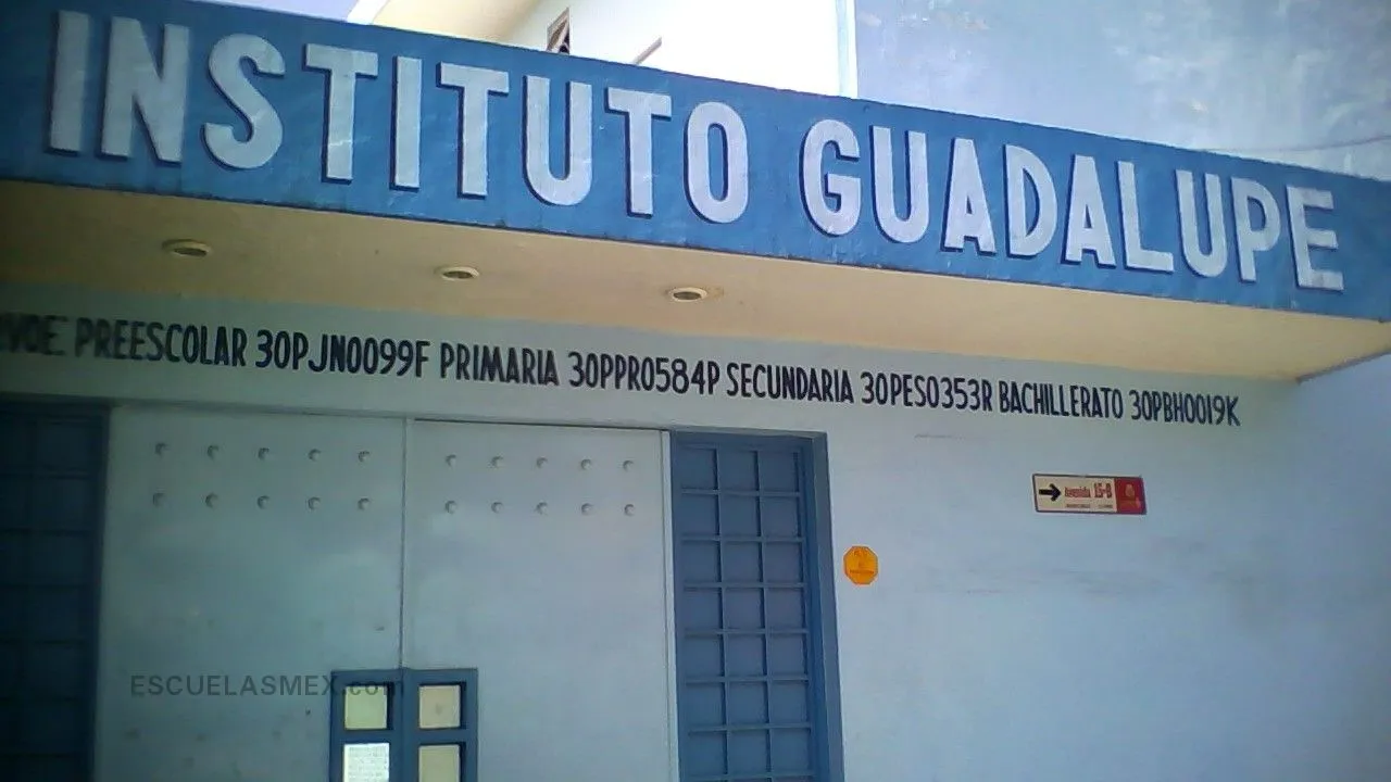 Instituto Guadalupe Entrada