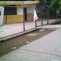 Rafael Moguel Gamboa