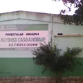Alfonso Caso Andrade