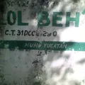 Lol Beh