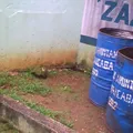 Zazil Ha