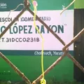 Ignacio Lopez Rayon
