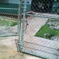 Caana Ek