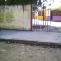 Sasil Bej