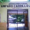 Amparo Carrillo de Buenfil