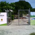 Jose Vasconcelos