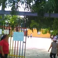Luz Maria Serradel