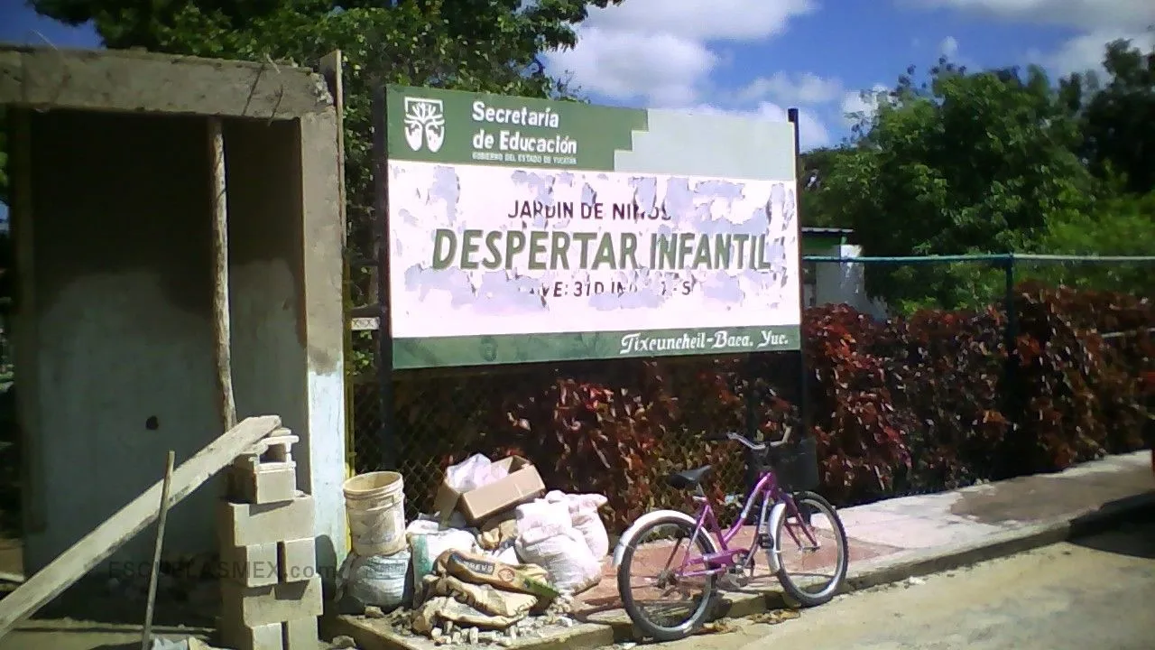 Despertar Infantil Entrada