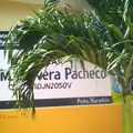 Victor Manuel Cervera Pacheco
