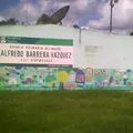 Alfredo Barrera Vasquez