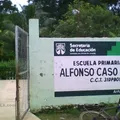 Alfonso Caso Andrade