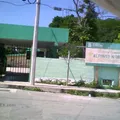 Alfonso N Urueta Carrillo