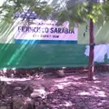 Francisco Sarabia