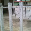 Zamna