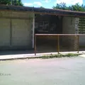 Edesio Carrillo Puerto