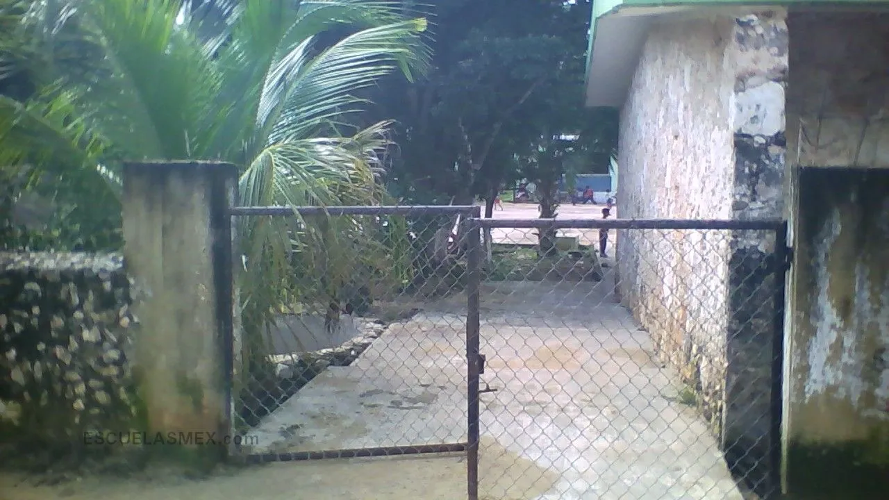 Revolucion Entrada
