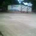 Felipe Alcocer Castillo