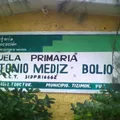 Antonio Mediz Bolio