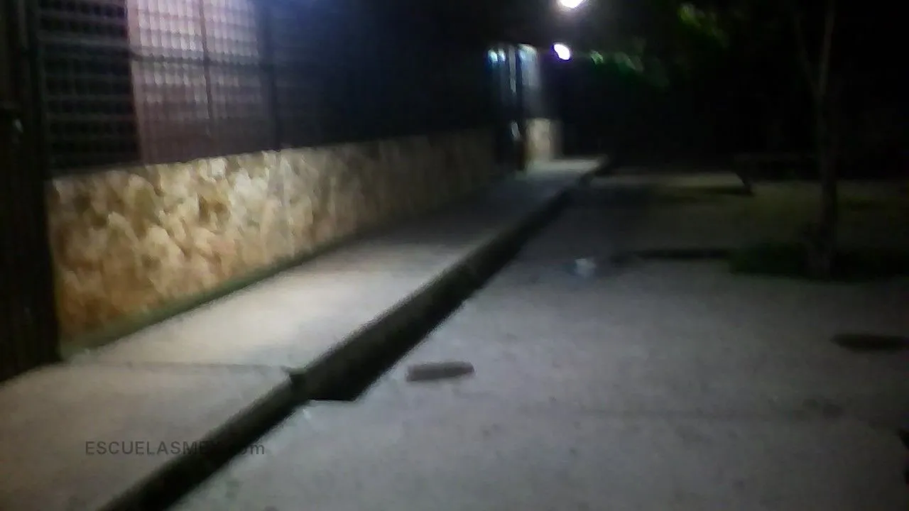 Amparo Rosado Entrada