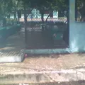 Solidaridad