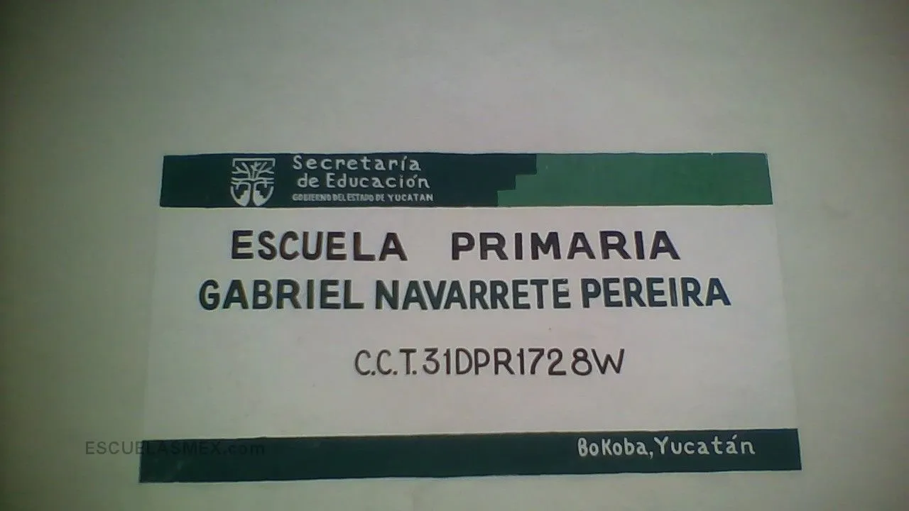 Gabriel Navarrete Pereyra Entrada
