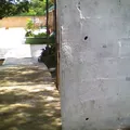 Felipe Carrillo Puerto
